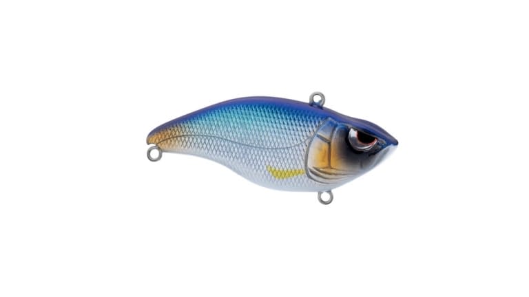 Spro Aruku Shad - CBL