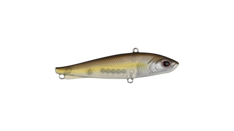 Berkley Ripfish - STSH