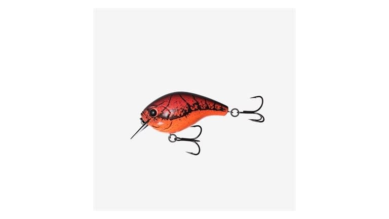 13 Fishing Scamp - MP