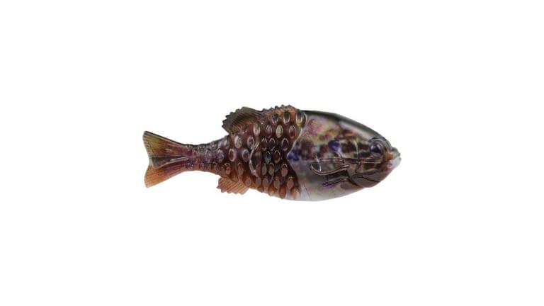 Berkley PowerBait Gilly - HDWAR