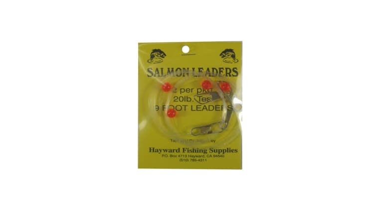 Hayward Salmon Leader