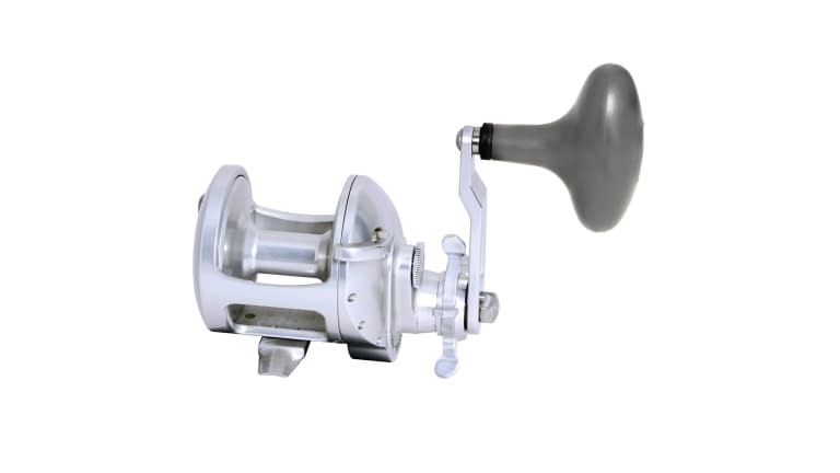 Accurate Tern 2 Star Drag Conventional Reels