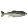 Anglers King Sugar Shaker Trout - Style: 003