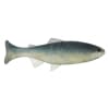 Anglers King Sugar Shaker Trout - Style: 080