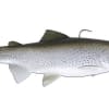 Huddleston Deluxe 10 Inch Trout - Style: R