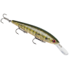 Strike King KVD Deep Jerk Bait - Style: 663