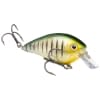 Strike King KVD Square Bill 2.5 - Style: 464