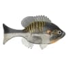 Sudden Impact Suzygill Bluegill Lil Gill - Style: 1