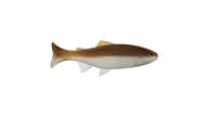 Anglers King Sugar Shaker Trout - SS575JR-021 - Thumbnail