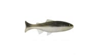 Anglers King Sugar Shaker Trout - SS575JR-041 - Thumbnail