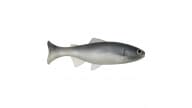 Anglers King Sugar Shaker Trout - SS575JR-082 - Thumbnail