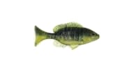 Sudden Impact Sunfish / Perch - 143 - Thumbnail