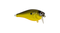 Berkley Wakebull