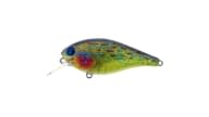 River2Sea Ish Monroe Biggie Poppa Crankbait - BEPA67BR/10 - Thumbnail