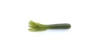 Dry Creek Outfitters Big Dog Flippin' Tube - 101 - Thumbnail