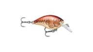 Rapala DT Series Crankbaits - DT04MULE - Thumbnail