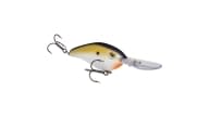 Strike King Pro Model 6XD Crankbait