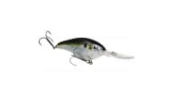 Strike King Pro Model 6XD Crankbait - 699 - Thumbnail