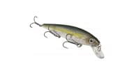 Strike King KVD Jerkbait - 585 - Thumbnail