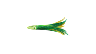Anglers King Tuna Trolling Feathers - CG - Thumbnail