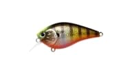 Lucky Craft LC 1.5DRS Crankbaits - 175 - Thumbnail