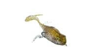 Chasebaits Wiggle Bomb