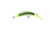 FlatFish Trout Steelhead Walleye