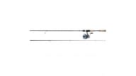 Daiwa Legalist LT Spinning Combo