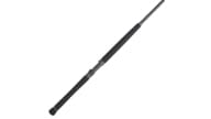 PENN Carnage III Boat Rods